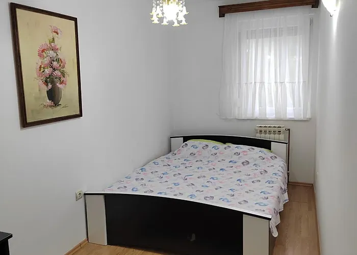 Apartament Centar *